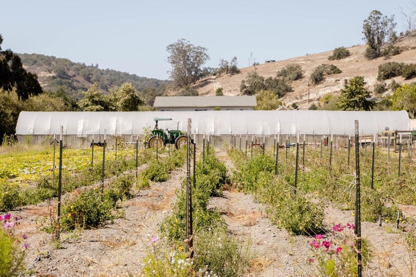 Wild Hair Studio-Stylish Farm Stay W Ev Charger Arroyo Grande Exterior photo